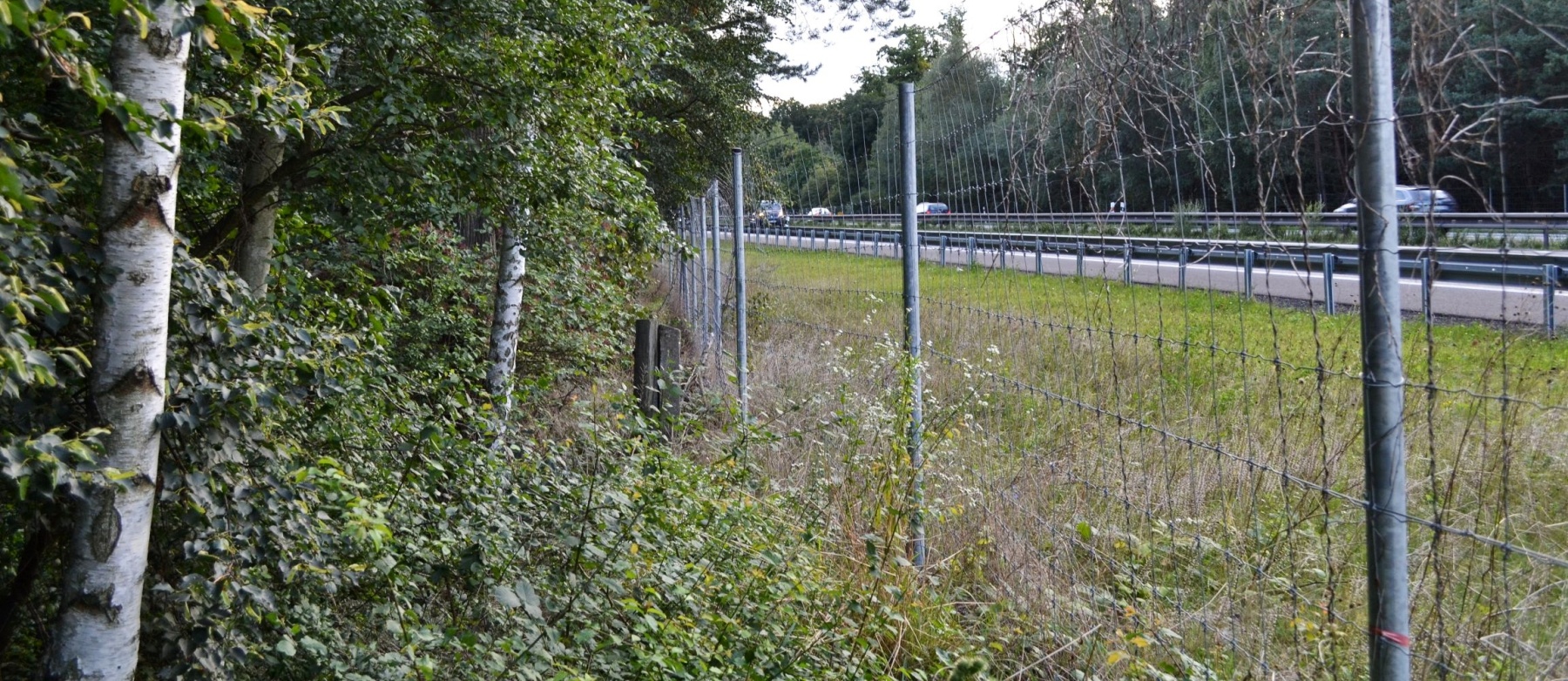 Oplocení dopravní komunikace